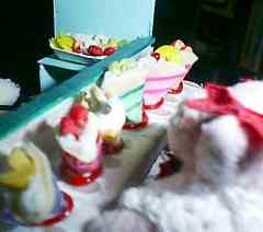 �����̎ʐ^�i�N���[�v������j